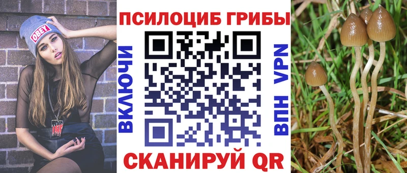 KRAKEN маркетплейс  Шебекино  Псилоцибиновые грибы прущие грибы 